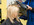 Soft single process blonde with a long layers